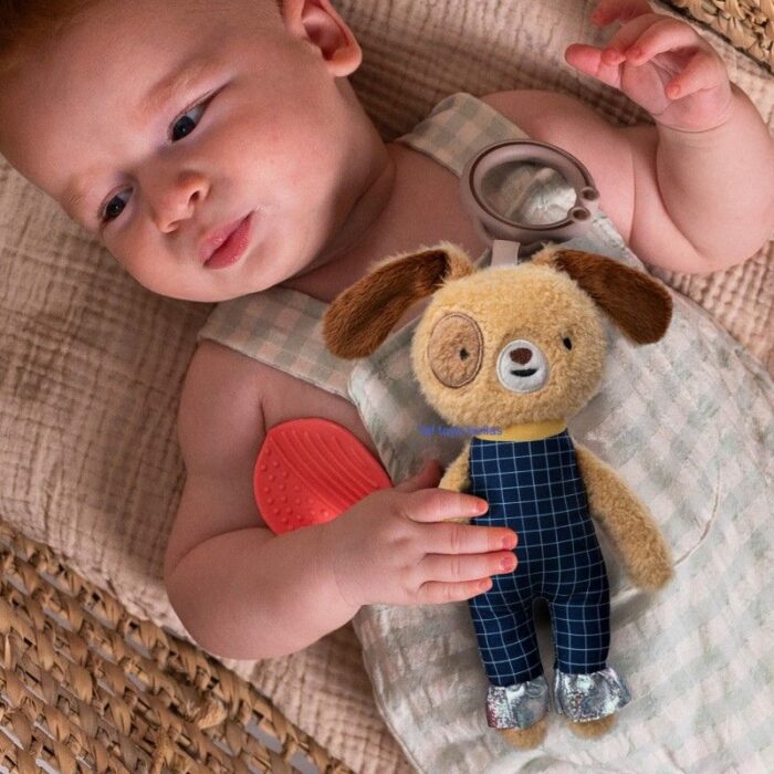 Baby Look - T 13535 1 800x800 1