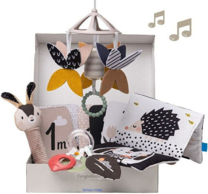 Σετ Δραστηριοτήτων Νεογέννητο Black White Kit Taf Toys